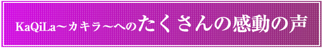 たくさんの感動の声